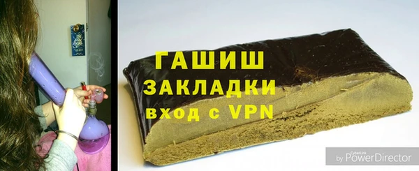 гидра Богородск