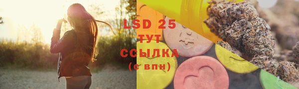 ECSTASY Богородицк