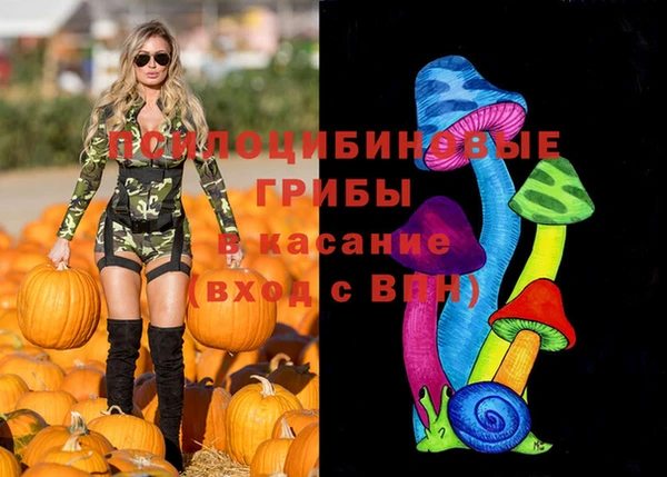 гидра Богородск