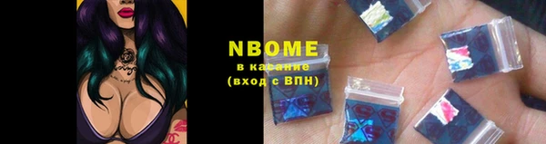 гидра Богородск