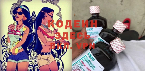 мет Бородино