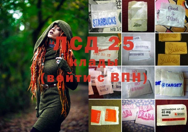 метадон Богданович