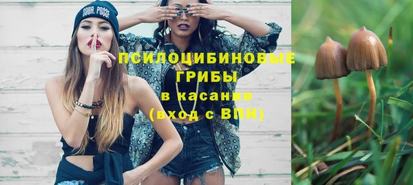 гидра Богородск