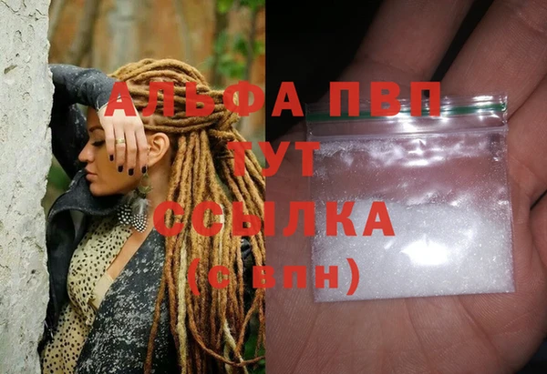 ECSTASY Богородицк