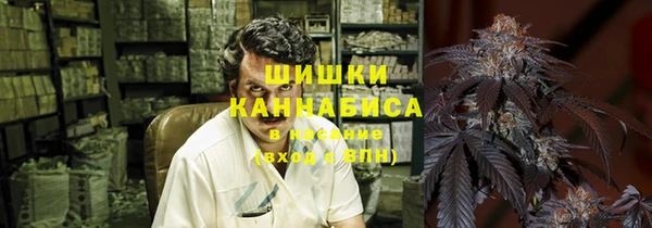 ECSTASY Богородицк